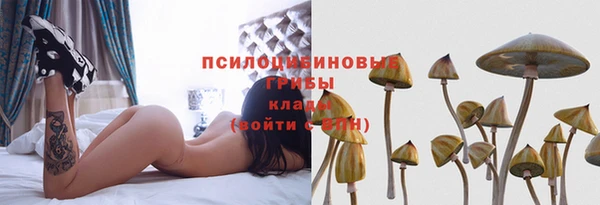 синтетический гашиш Алексеевка