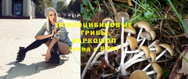 синтетический гашиш Алексеевка