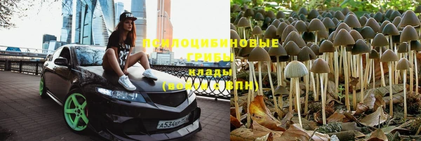 синтетический гашиш Алексеевка