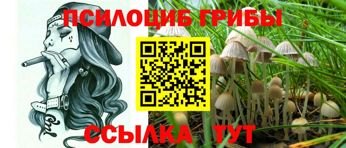 Галлюциногенные грибы Magic Shrooms Нарьян-Мар