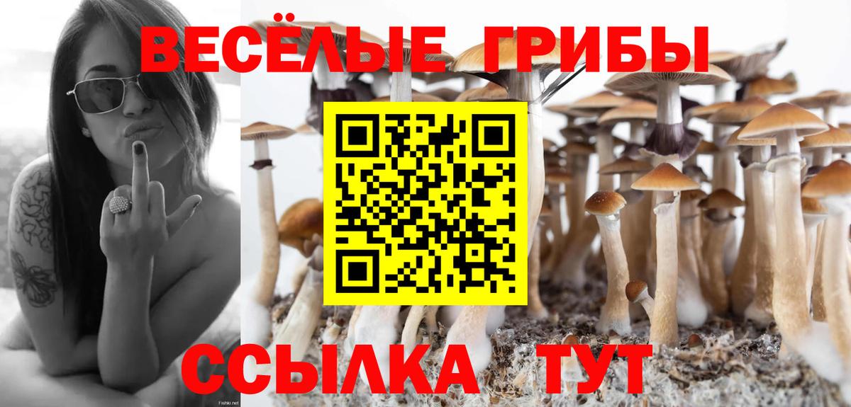 Галлюциногенные грибы ЛСД  Вход с VPN  где продают наркотики  Галлюциногенные грибы Cubensis  Нарьян-Мар 