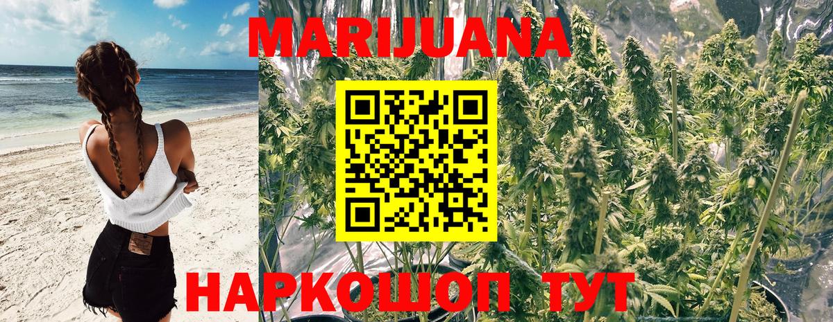 Каннабис сатива Нарьян-Мар